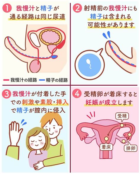 外だしで妊娠|外出しで妊娠する確率はどのくらい？正しい避妊方法。